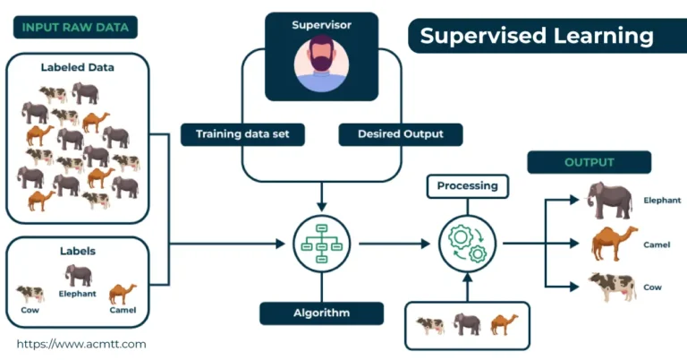 Supervised Learning: The Backbone of Modern AI